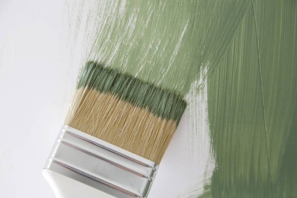Best Mold Odor Removal Services  in Cleveland, OH