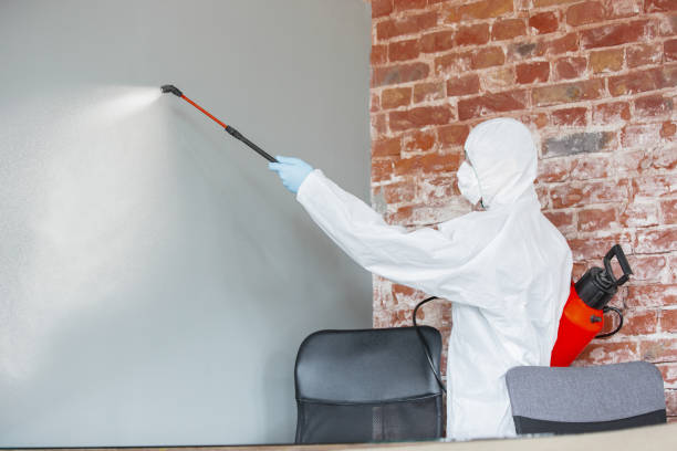 Best Commercial Mold Inspection  in Cleveland, OH