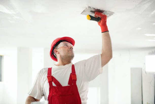 Best Attic Mold Removal  in Cleveland, OH