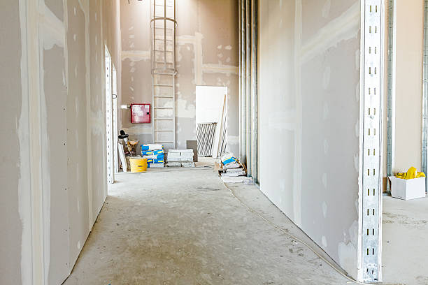 Best Commercial Mold Inspection  in Cleveland, OH